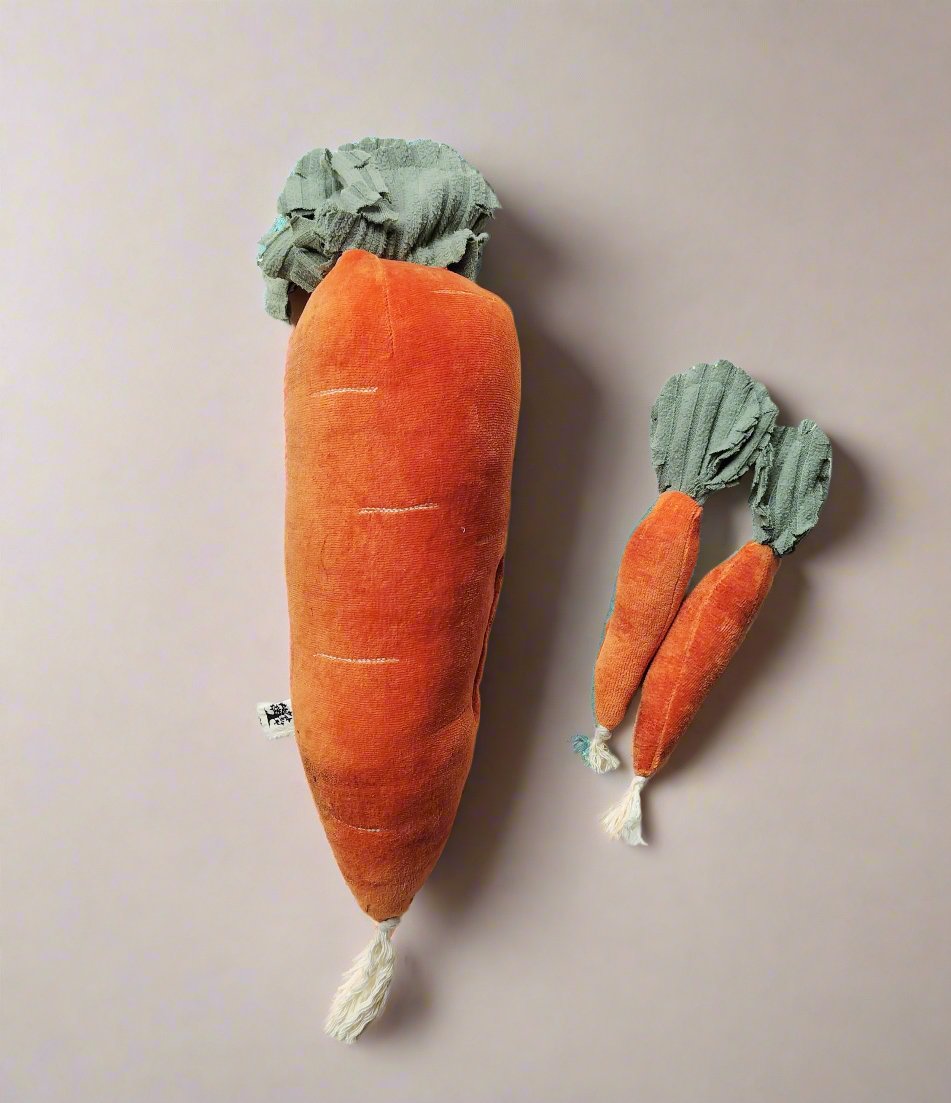 Carrot Cushion- no waste norma