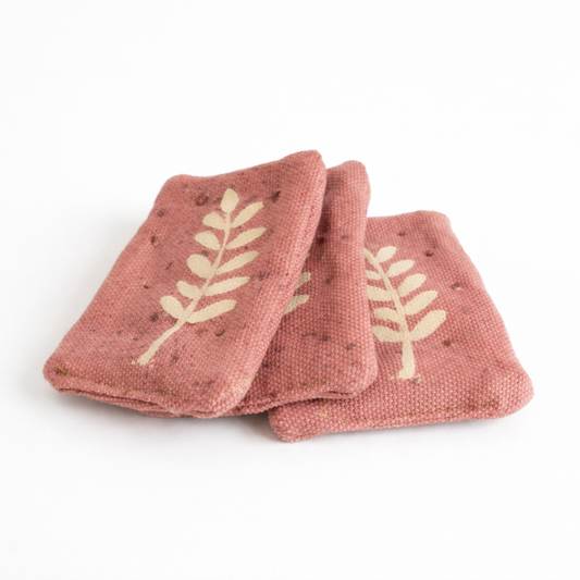 Whole wheat crackers - 3 Pack